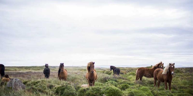 Building Accurate Predictive Forecasting Models