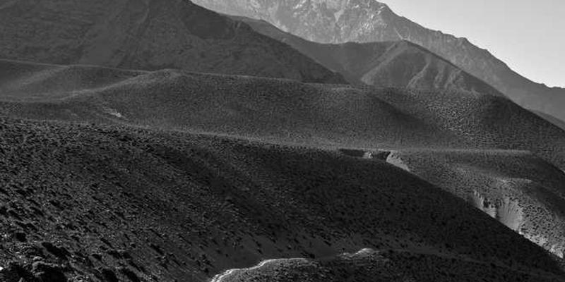 Reducing Service Desk Costs with API-Orchestrated Chatbots